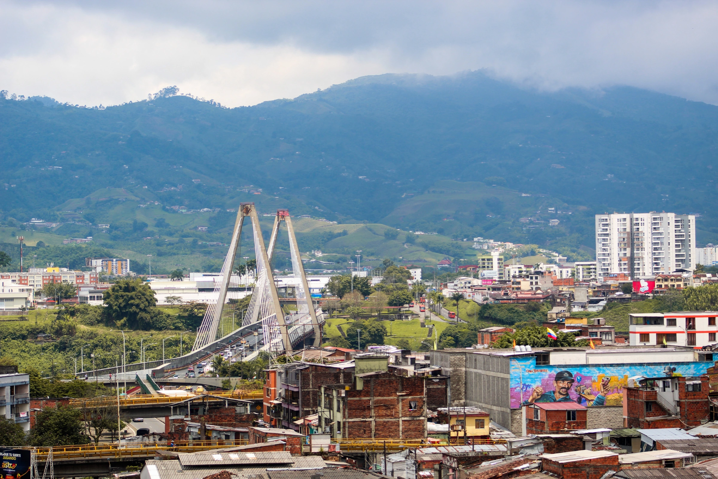 Pereira[1].webp